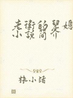 老卫的儿媳妇 小说简介