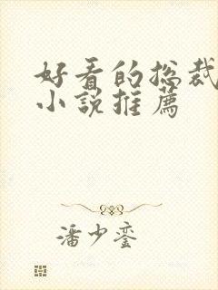 好看的总裁言情小说推荐封面