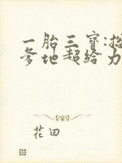 一胎三宝:总裁爹地超给力全文免费阅读