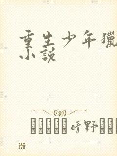重生少年猎美 小说