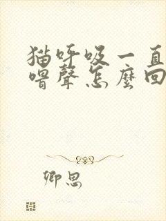 猫呼吸一直有呼噜声怎么回事