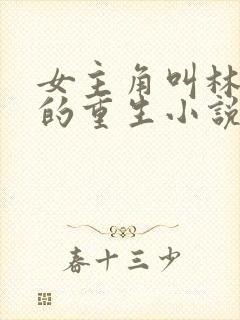 女主角叫林清婉的重生小说