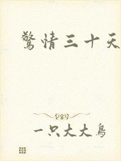 惊情三十天小说封面