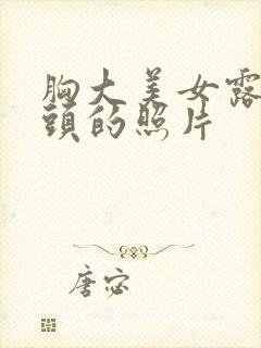 胸大美女露出奶头的照片