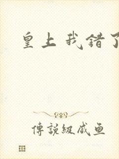 皇上 我错了封面