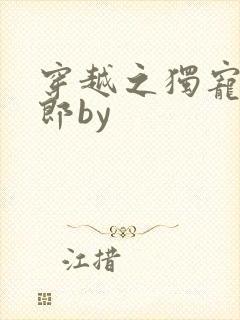 穿越之独宠小夫郎by