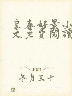 良春好景小说全文免费阅读无弹窗