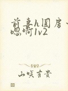 前妻h圆房～h嗯啊1v2