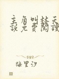 主角叫林天的小说免费阅读