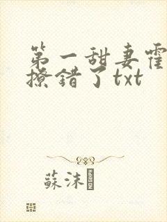 第一甜妻霍先生撩错了txt