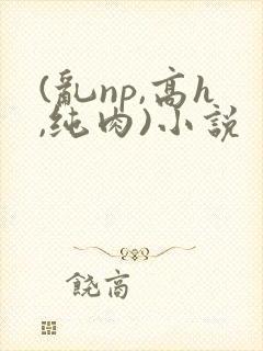 (乱np,高h,纯肉)小说