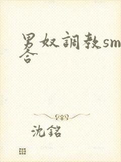 男奴调教sm综合