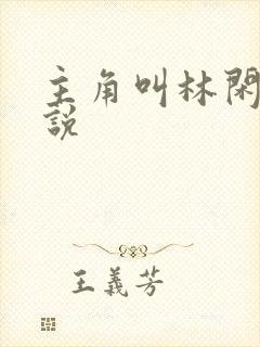 主角叫林闲的小说封面