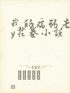 我的病弱老婆by花卷小说封面