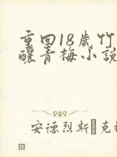 重回18岁竹马酿青梅小说封面