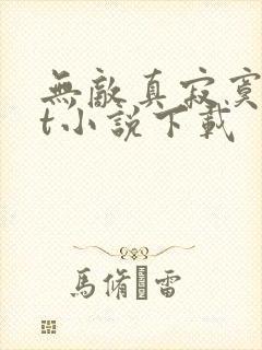 无敌真寂寞txt小说下载