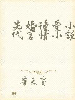先婚后爱小说现代言情小说封面