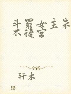 斗罗女主朱竹清不后宫