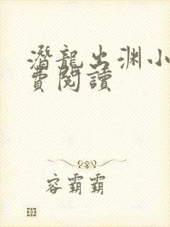 潜龙出渊小说免费阅读