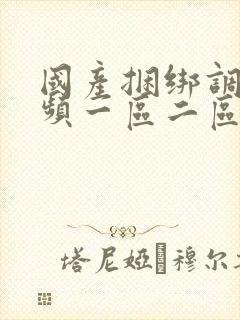 国产捆绑调教视频一区二区