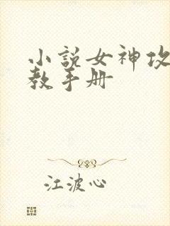 小说女神攻略调教手册封面