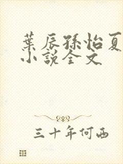 叶辰孙怡夏若雪小说全文