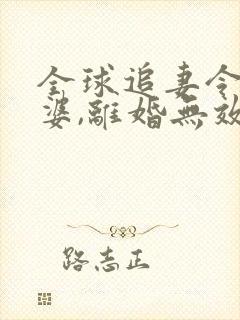 全球追妻令:老婆,离婚无效