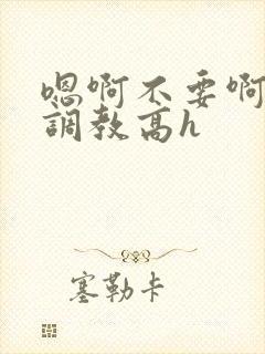 嗯啊不要啊啊啊调教高h