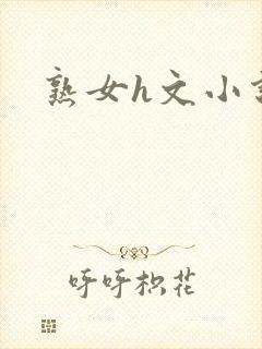 熟女h文小说封面