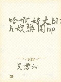 哈啊好大bl高h娱乐圈np