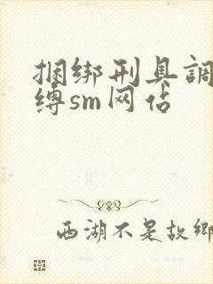 捆绑刑具调教束缚sm网站