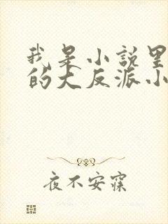 我是小说里共同的大反派小说免费