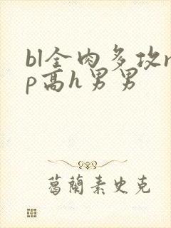 bl全肉多攻np高h男男封面