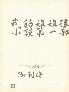 我的姐姐很弟控小说第一部封面