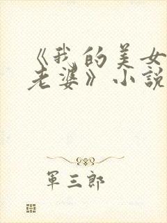 《我的美女总裁老婆》小说