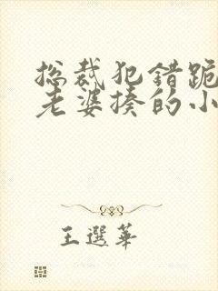 总裁犯错跪下被老婆揍的小说封面