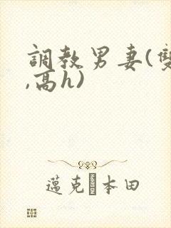 调教男妻(双性,高h)