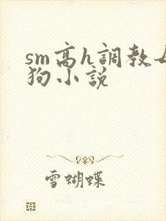 sm高h调教母狗小说封面