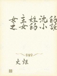 女主姓沈的丞相之女的小说