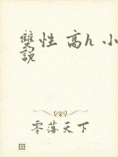 双性 高h 小说封面