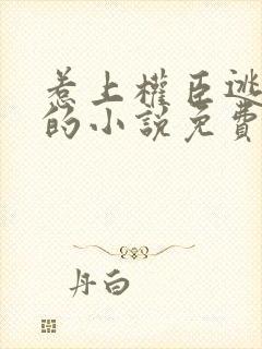 惹上权臣逃不掉的小说免费