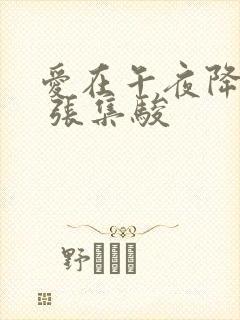 爱在午夜降临前 张集骏