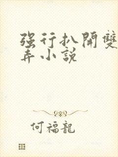 强行扒开双腿玩弄小说封面