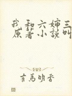 我和六婶三十年原著小说叫什么名字封面