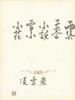 小雪小柔两大校花小说合集封面