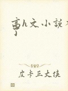 高h文小说不要了