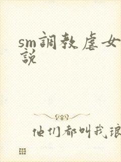 sm调教虐女小说封面