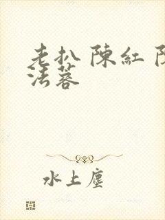 老扒 陈红 陈法蓉封面