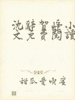 沈辞贺峥小说全文免费阅读