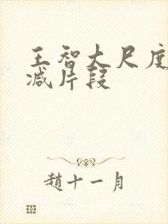 王智大尺度未删减片段